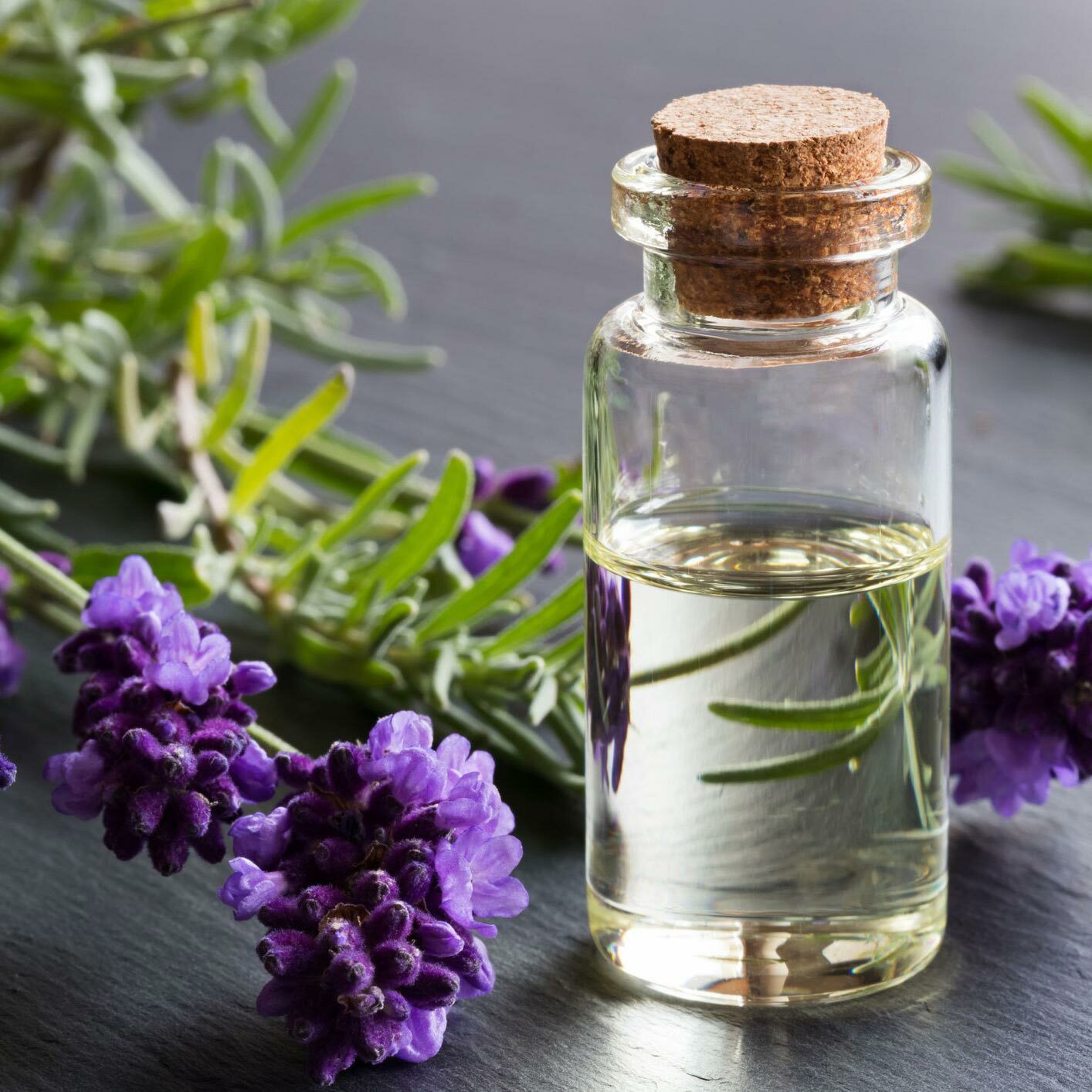 Lavender Oil