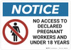 Notice: No Access To Pregnant Workers - Wall Sign