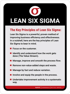 Key Priniciples Of 6 Sigma Portrait - Wall Sign