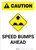 Caution: Speed Bumps Ahead with Icon Portrait