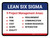 Lean 6 Sigma 9 Project Management Landscape - Wall Sign