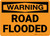 Warning: Road Flooded Landscape