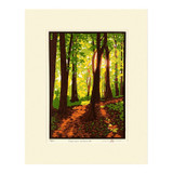 Laura Wilder Summer Woods III Limited Edition Matted Block Print Ivory