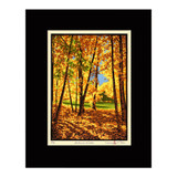 Laura Wilder Autumn Woods Limited Edition Matted Block Print Black Mat