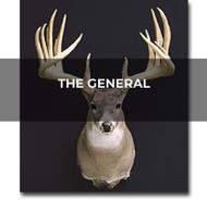 Buck Profile: The General  | THLETE Whitetail Deer Hunting