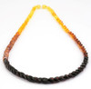 Rainbow Amber Necklace