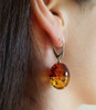 Baltic Amber Earrings
