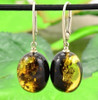 Green Amber Earrings 