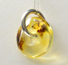 Baltic Amber Donut Pendant 