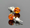Amber Stud Earrings