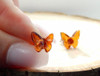 Baltic Amber Stud Earrings