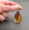 Baltic Amber Pendant