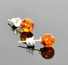 Amber Stud Earrings