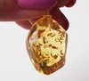 Amber Pendant