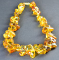 Amber Necklace 