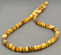 Raw Amber Necklace