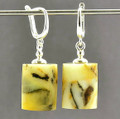 Amber Earrings