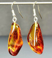 Amber Earrings