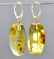 Amber Earrings