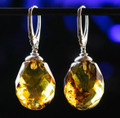 Amber Earrings