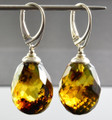 Amber Earrings