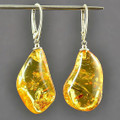 Natural Amber Earrings