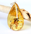 Amber Pendant 