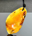 Amber Amulet