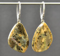 Amber Earrings 