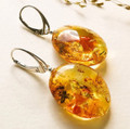 Amber Earrings
