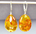 Amber Earrings