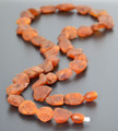 Raw Amber Healing Necklace
