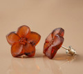 Amber Flower Stud Earrings