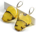 Baltic Amber Slice Earrings