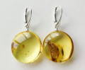 Baltic Amber Earrings
