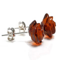 Amber Stud Earrings 