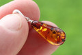 Amber Pendant