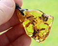 Amber Amulet On Adjustable String - SOLD OUT