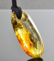 Amber Amulet