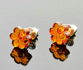 Amber Stud Earrings