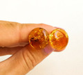 Amber Stud Earrings