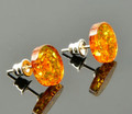 Amber Stud Earrings