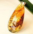 Baltic Amber Pendant