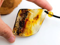 Amber Pendant