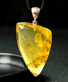 Amber Pendant