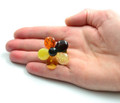 Amber Brooch