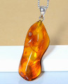 Amber Amulet