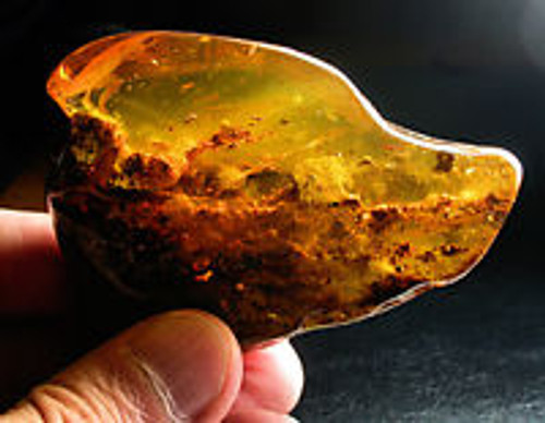 A Brief History of Baltic Amber