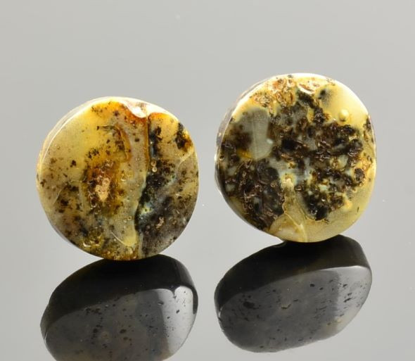 Amber Clip on Earrings