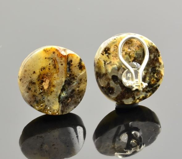 Amber Clip on Earrings